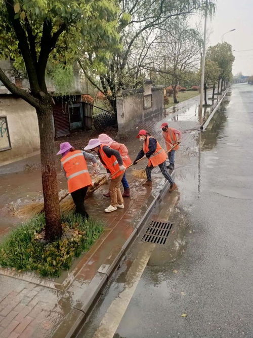 市城管執(zhí)法局組織開展道路深度清潔作業(yè),助力城市市容環(huán)境提升行動(dòng)