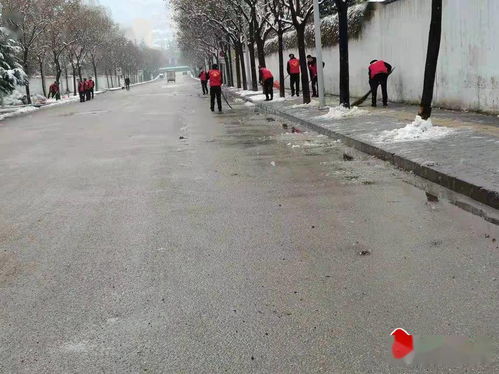 秦州區執法局成紀新城中隊清理路面積雪