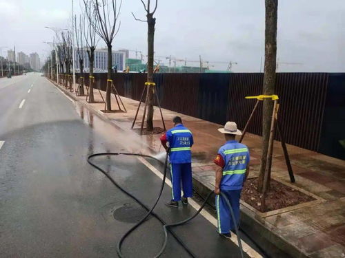 大足區環境衛生管理所全面做好雨后城區道路清理工作