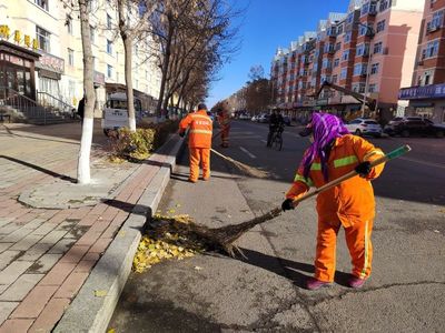 落葉紛飛“不留痕”道路保潔“不打折”