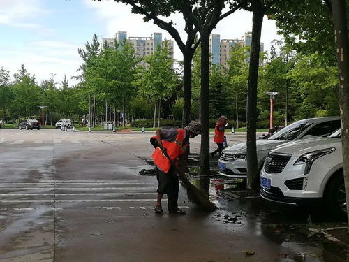 風雨停了,他們依然沒有停歇