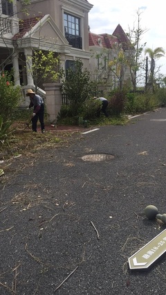 東莞道路清潔招標_市政道路保潔專業服務商