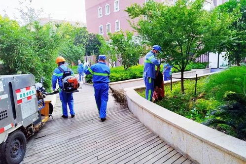 道路清掃保潔 公共環(huán)境消殺 他們?cè)谛袆?dòng)