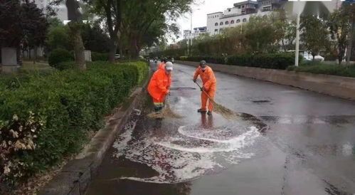 管理 橋西環衛雨后迅速行動清潔道路 長效機制保障城市衛生