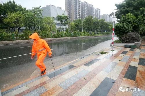 臺風過后 山竹走了 他們還在