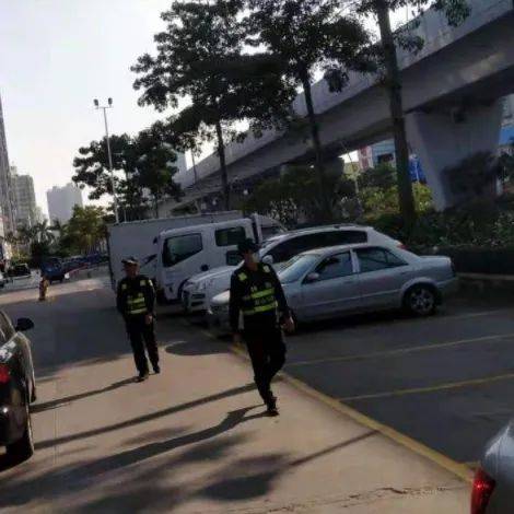 珠海這片 網紅 花海旁的人行道上,竟有人干這事 不可以
