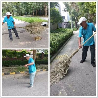 MOMΛ萬萬樹服務中心第32周工作匯報